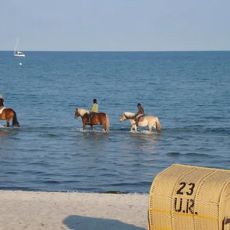 6 Person In Casa vacanze Grömitz